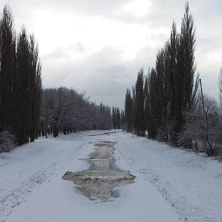 Penzion Hlinkova เปิลเซน ภายนอก รูปภาพ